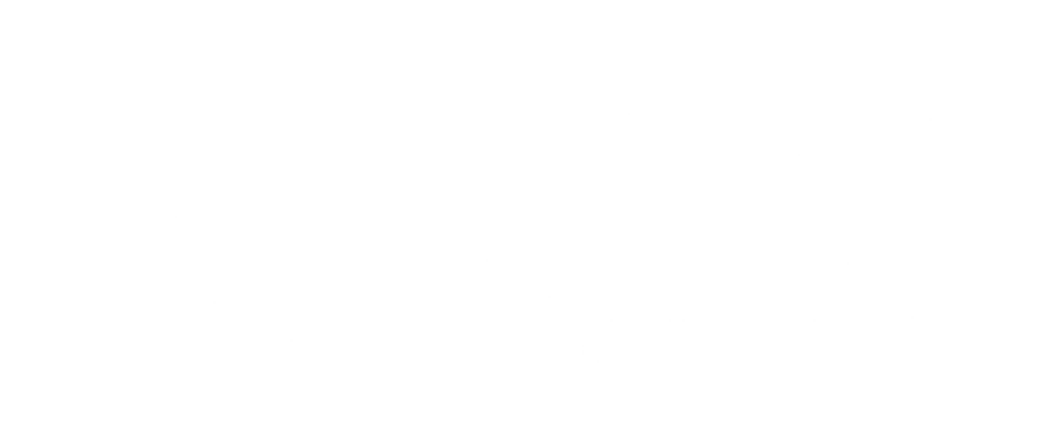 Better Choice Insurance